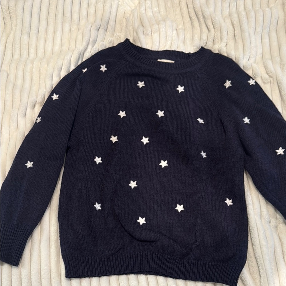 Star Patterned Navy Sweater